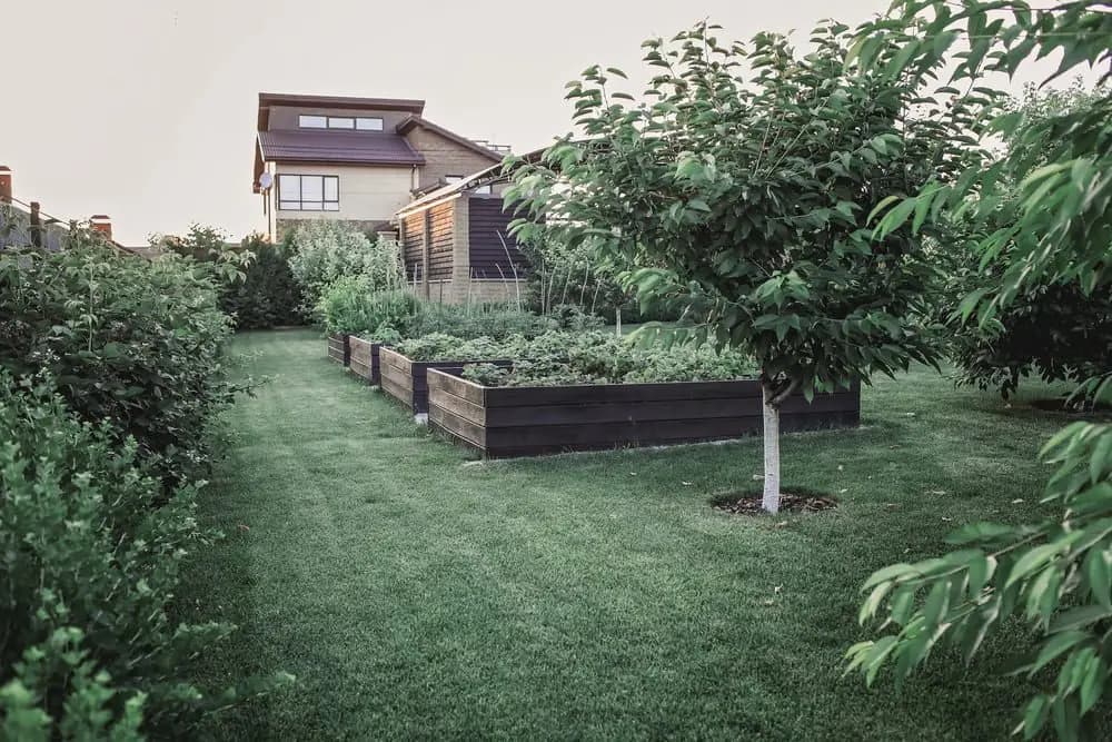 grote tuin ingericht met veel gras en groen